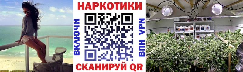 Магазины продажи наркотиков Торжок Альфа ПВП Галлюциногенные грибы Меф мяу мяу Гашиш МАРИХУАНА