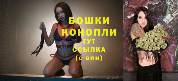 PSILOCYBIN Балахна