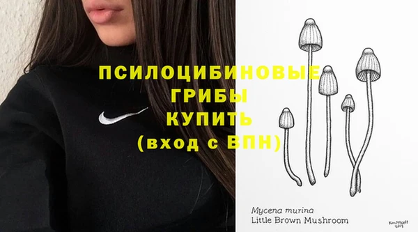 PSILOCYBIN Балахна