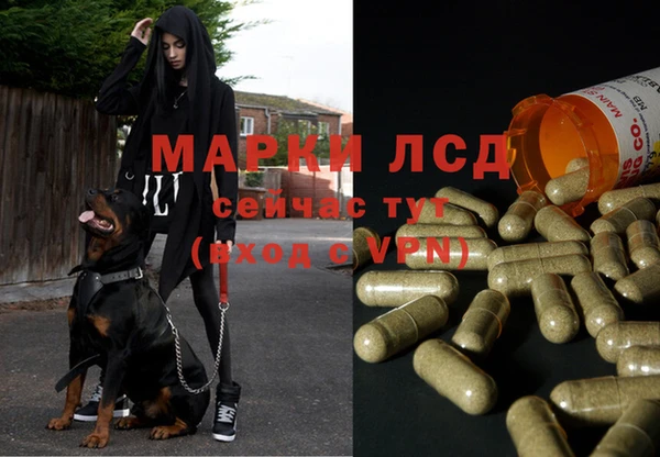 PSILOCYBIN Балахна