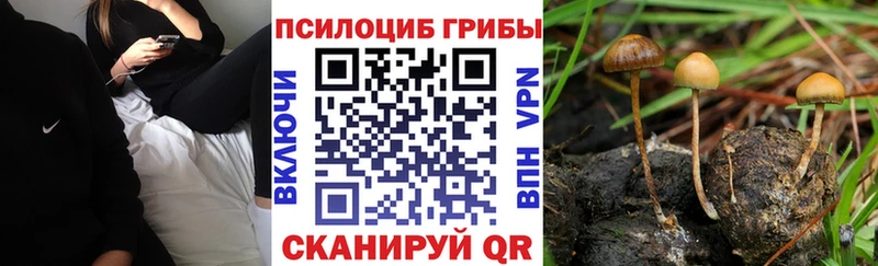 где купить наркотик  мориарти формула  мега маркетплейс  Галлюциногенные грибы Magic Shrooms  Торжок 